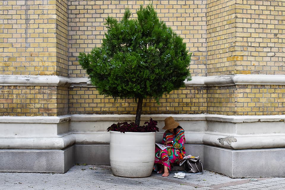 Gordana Nejgebauer - U potrazi za hladom-Novi Sad 2023