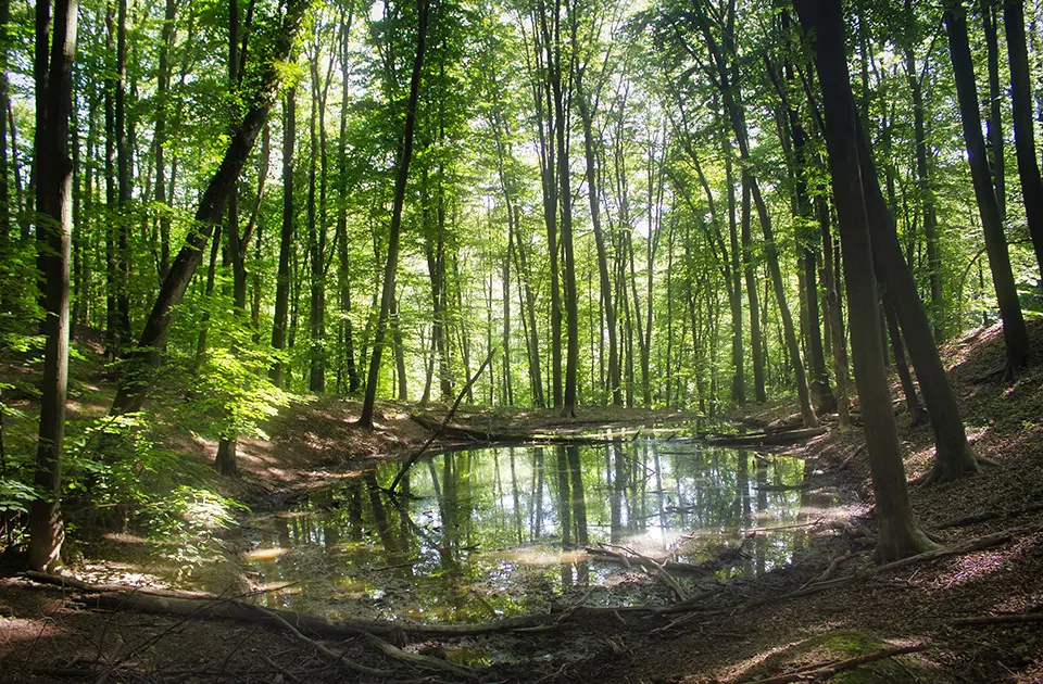 Fotografija: Goran Vucicevic