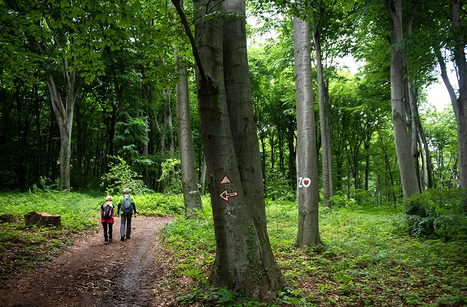 Autor fotografije: Mina Delić